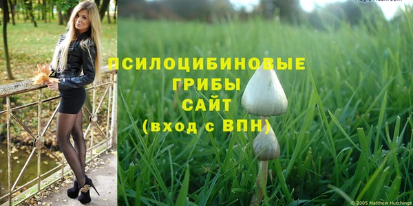 хмурый Вязьма